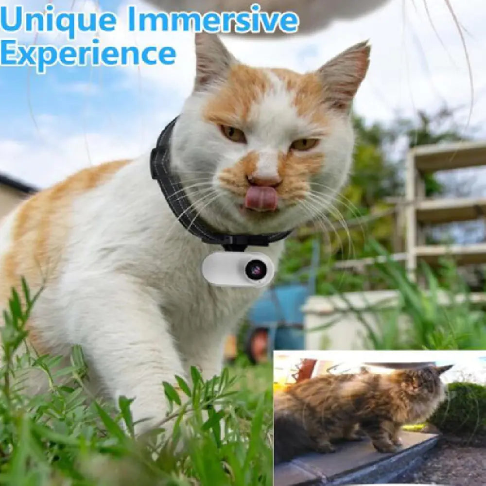 Compact Pet Adventure Cam