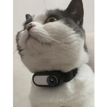 PawView Collar Cam