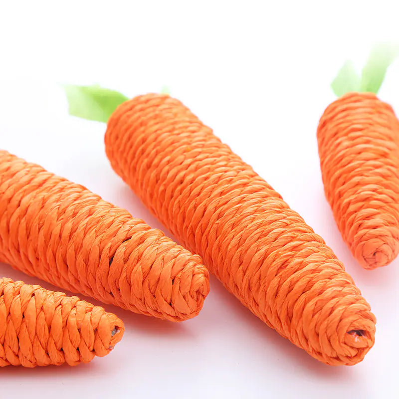 Jingle Carrot Chew Toy