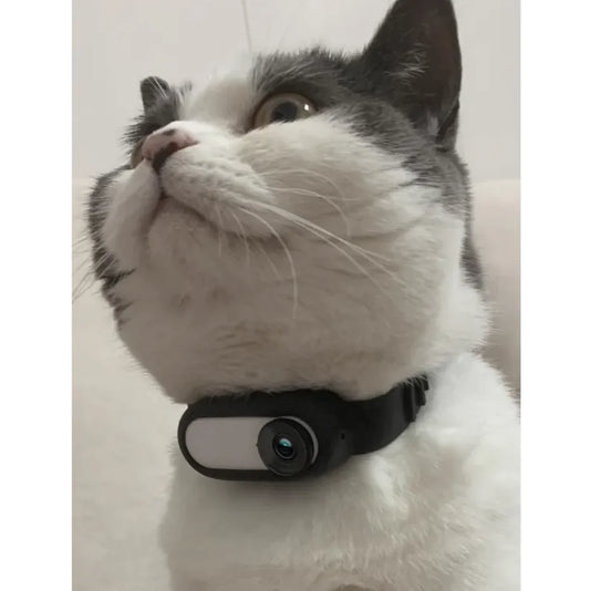 PawView Collar Cam