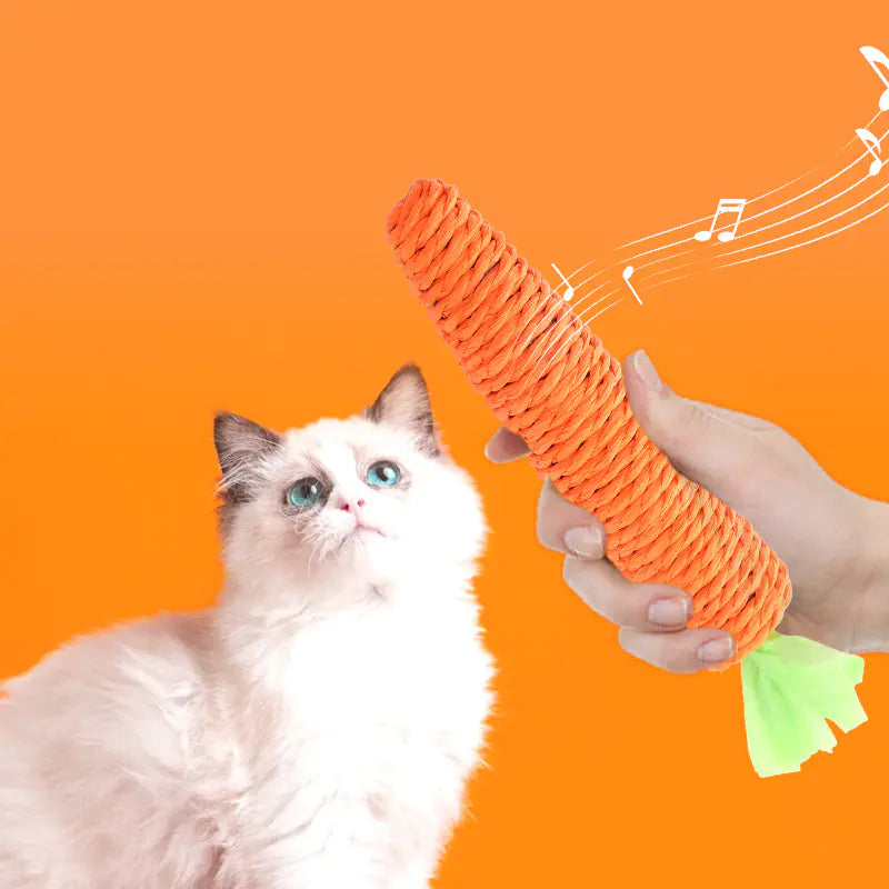 Jingle Carrot Chew Toy