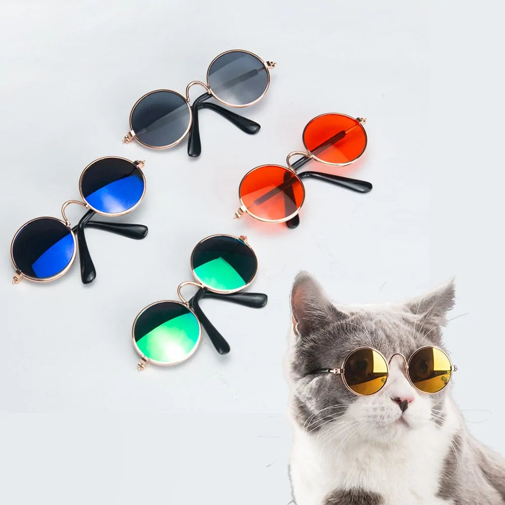 FurryChic Pet Sunglasses