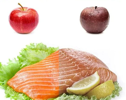 Stay Fresh Food Sealer