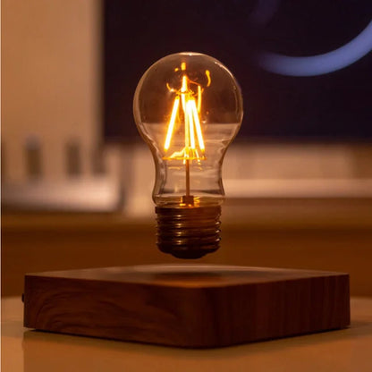 Enchanted Floating LED Lamp