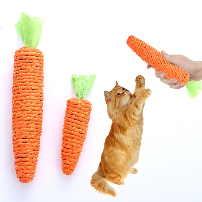 Jingle Carrot Chew Toy