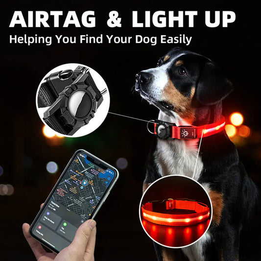 BrightSafe Weatherproof Pet Collar