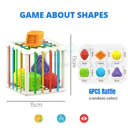 Sorting Game Shape Blocks